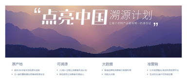 2016年阿里巴巴商业服务生态报告 个人商务服务的崛起与变革